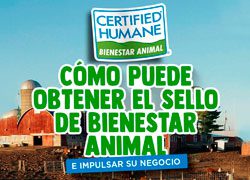 Cómo Puede Obtener el Sello de Bienestar Animal e Impulsar su Negocio